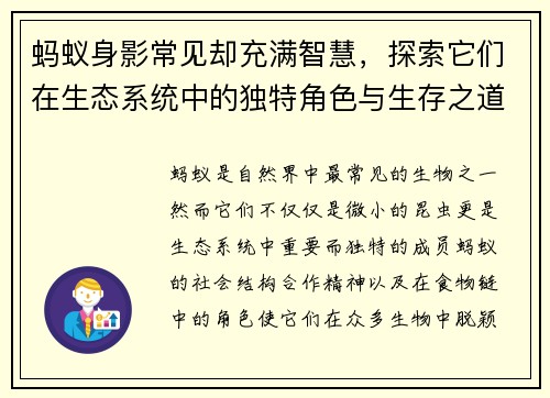 蚂蚁身影常见却充满智慧，探索它们在生态系统中的独特角色与生存之道